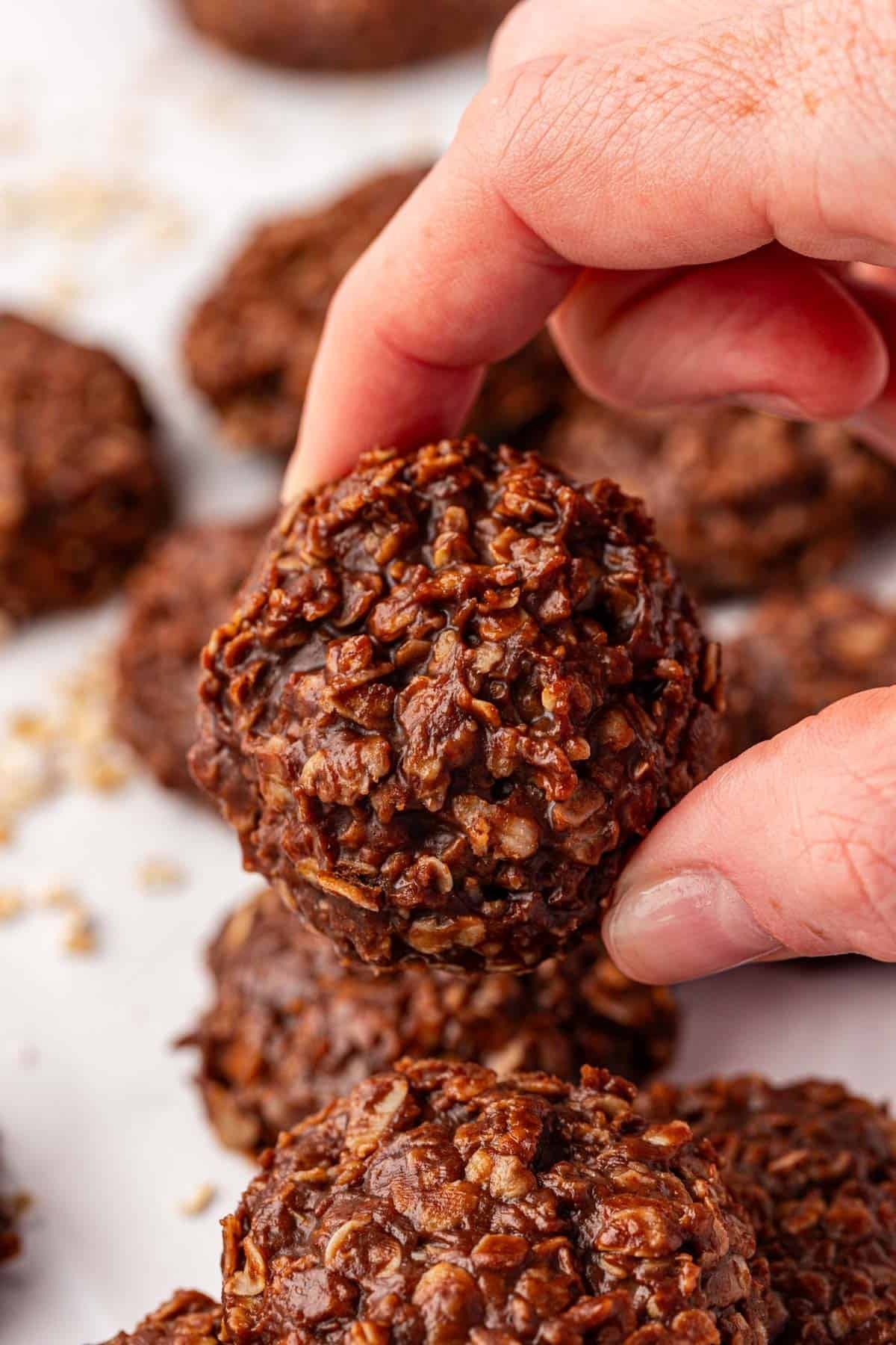 healthy no bake cookies