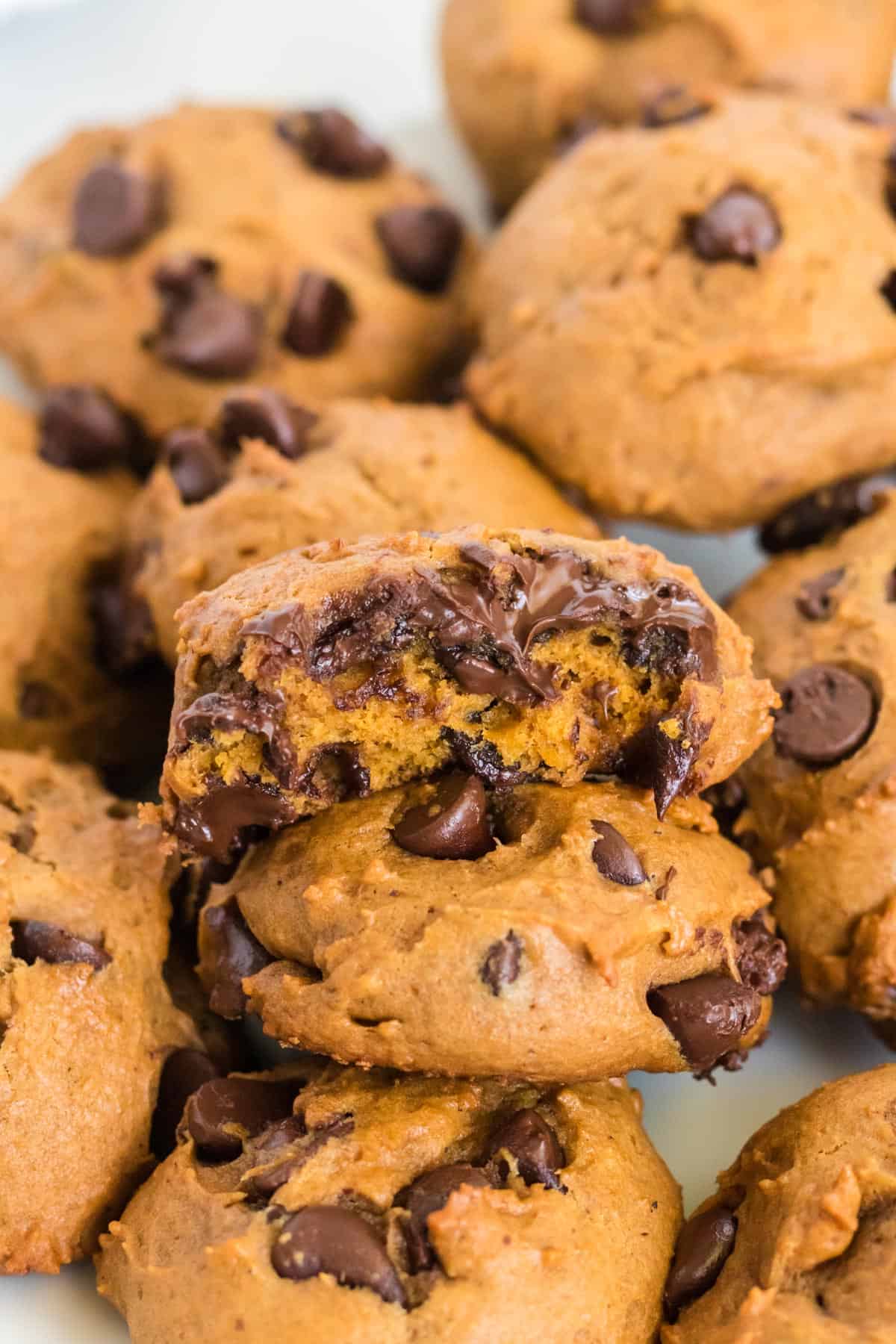 pumpkin chocolate chip cookies