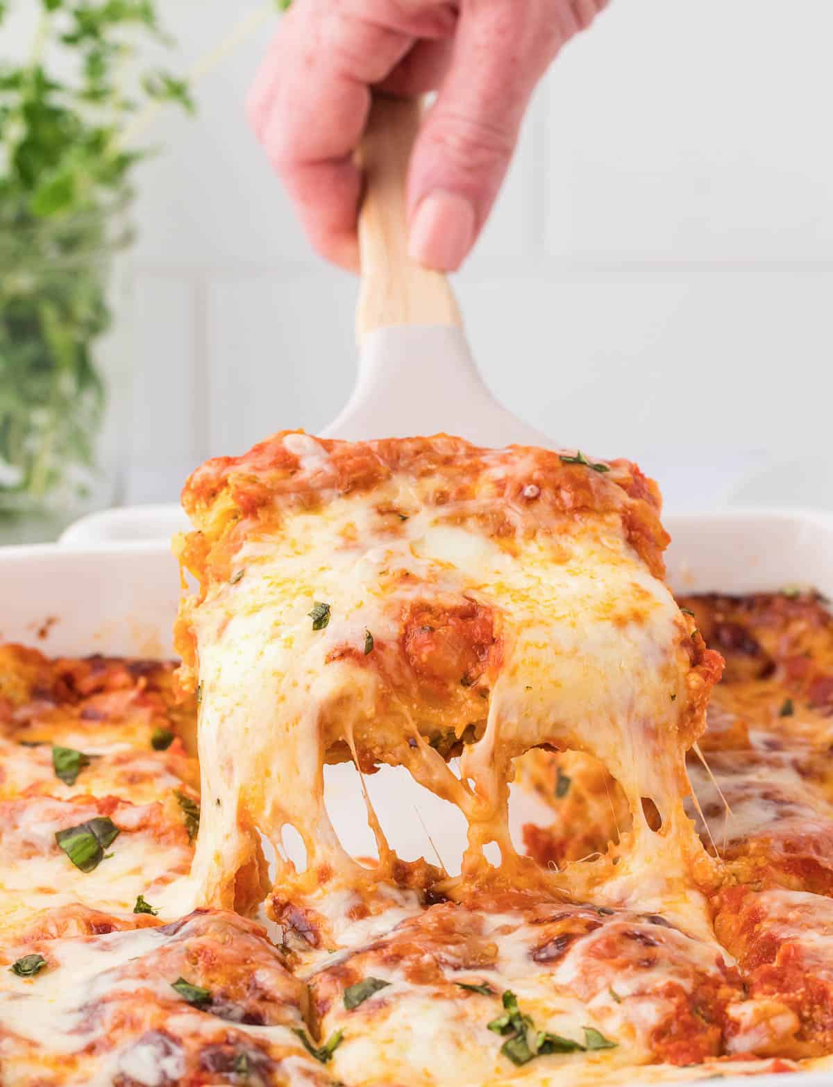 Cheese Lasagna