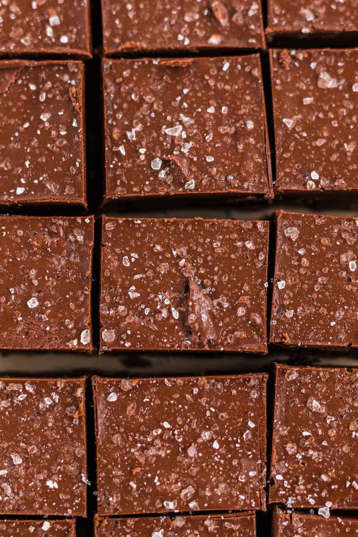 vegan chocolate peanut butter fudge cut into pieces