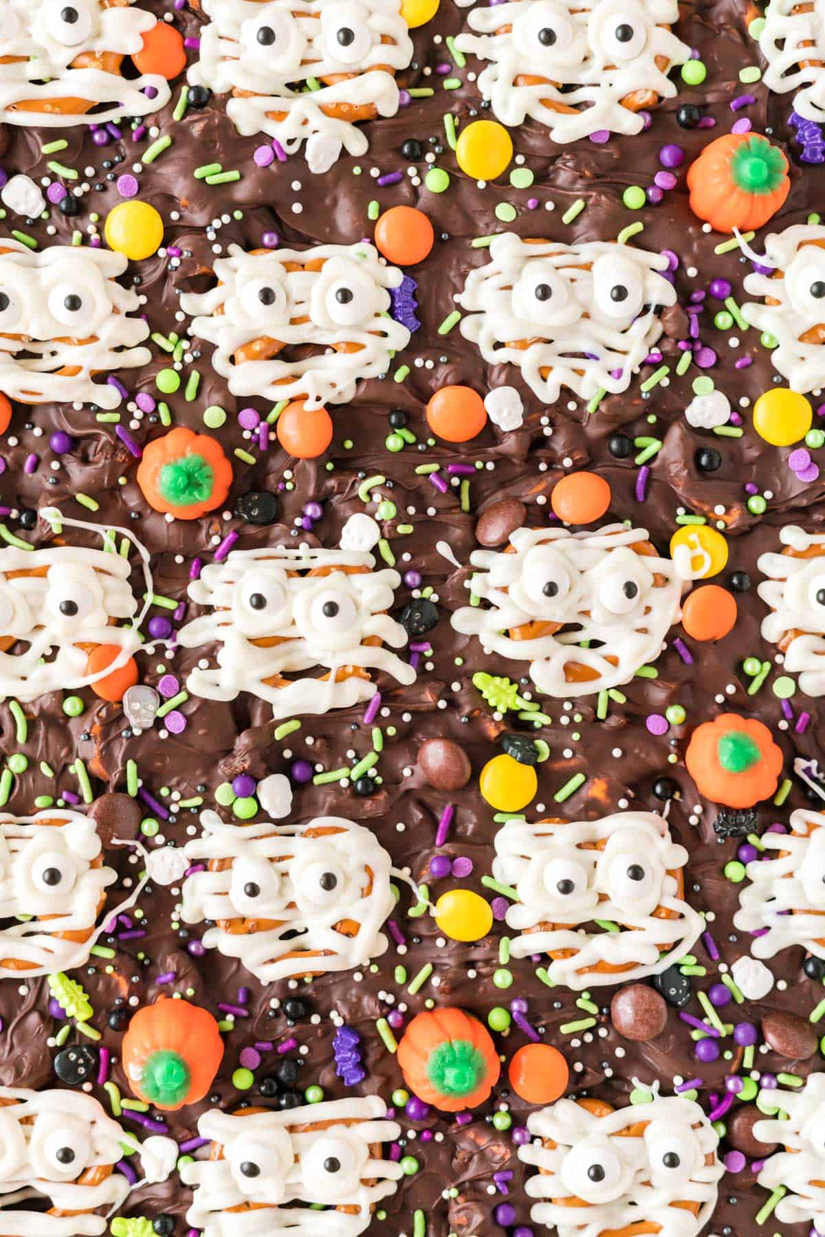 halloween mummy bark