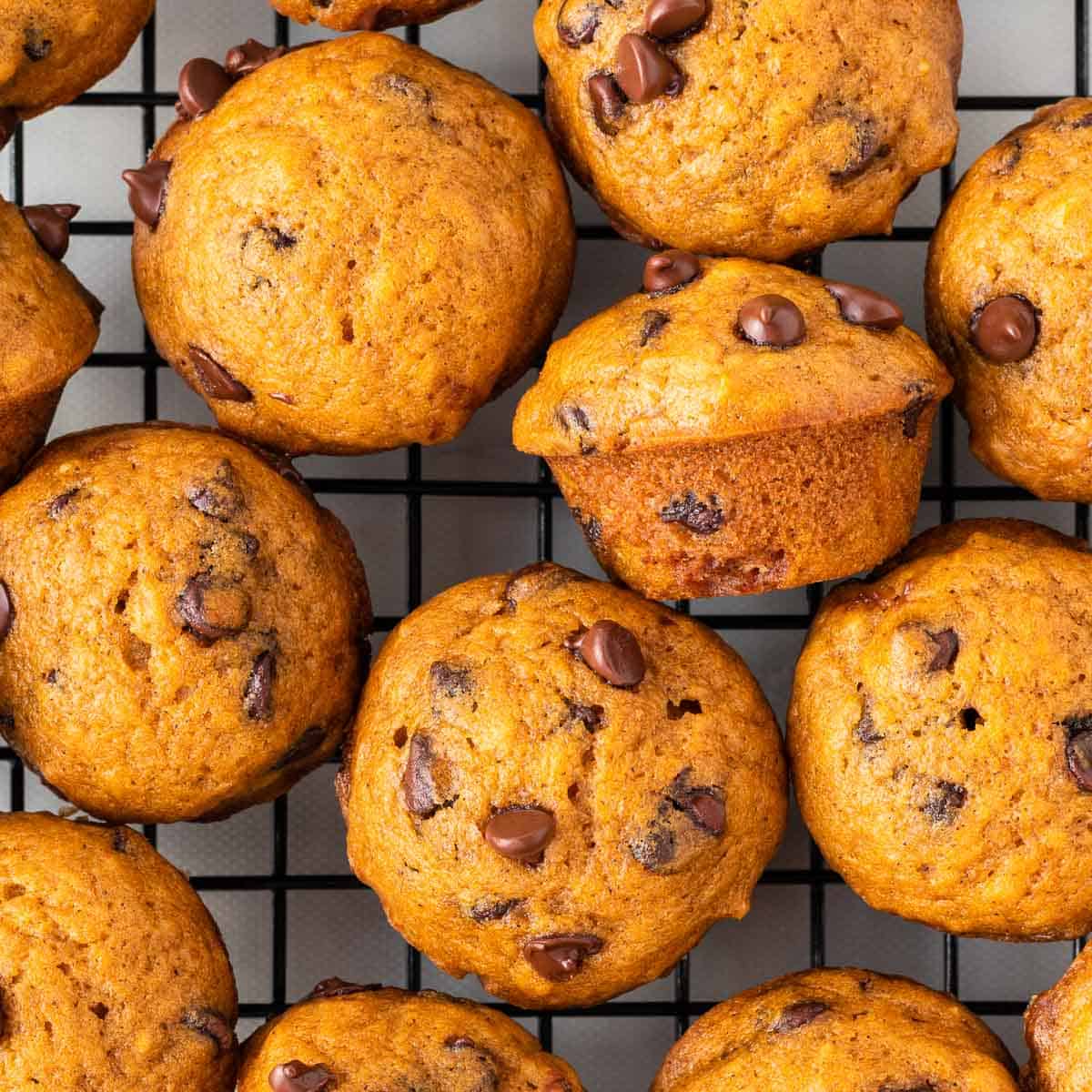 Mini Pumpkin Muffins