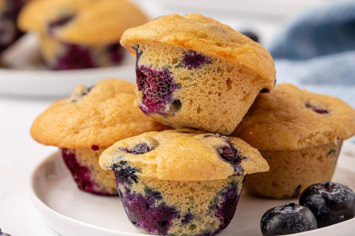 mini blueberry muffins