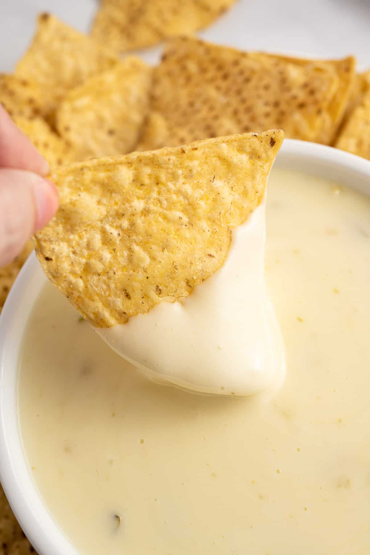 Queso Blanco