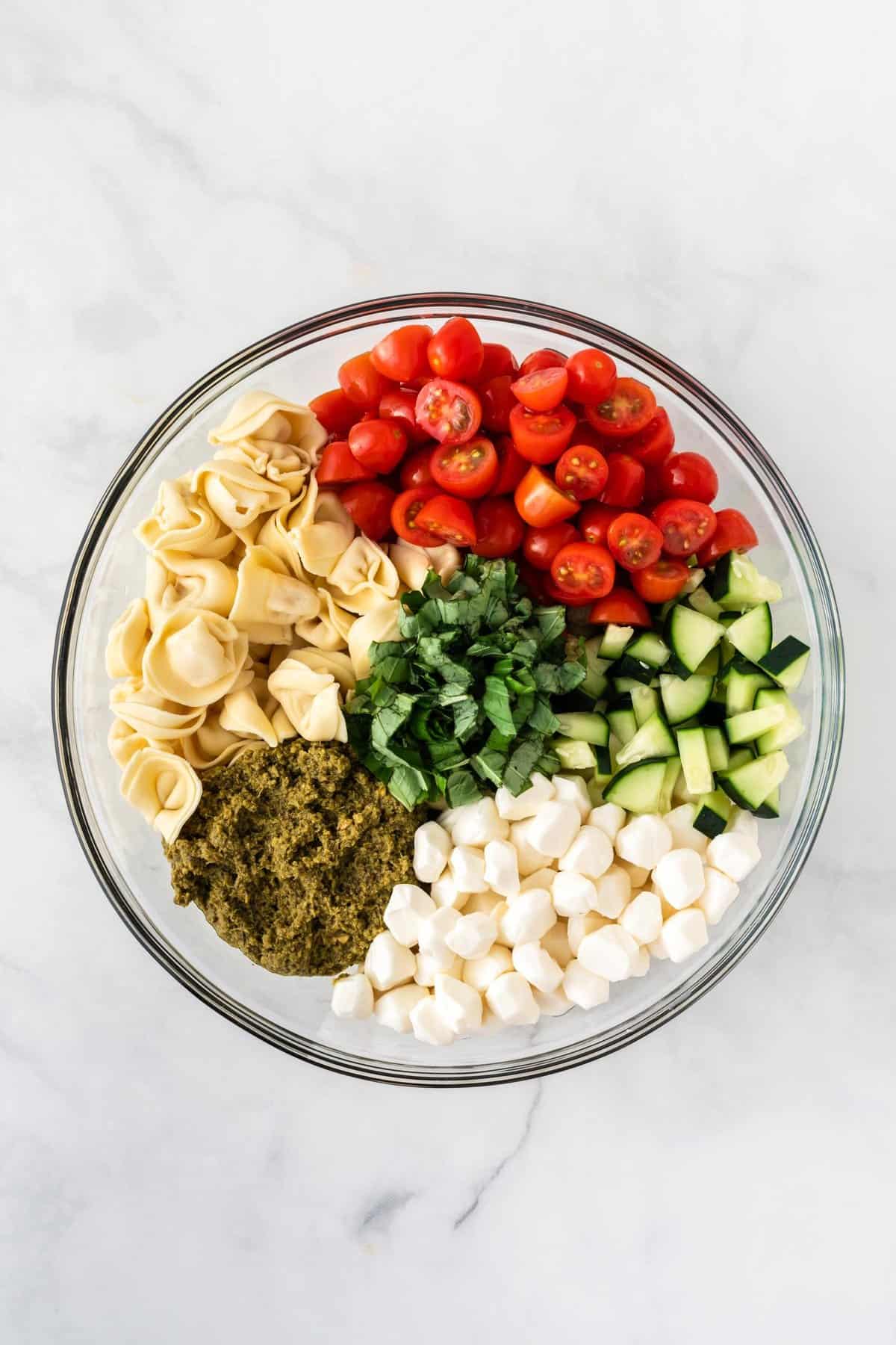 tortellini, pesto, tomatoes, cucumbers, basil, and mozzarella in a bowl