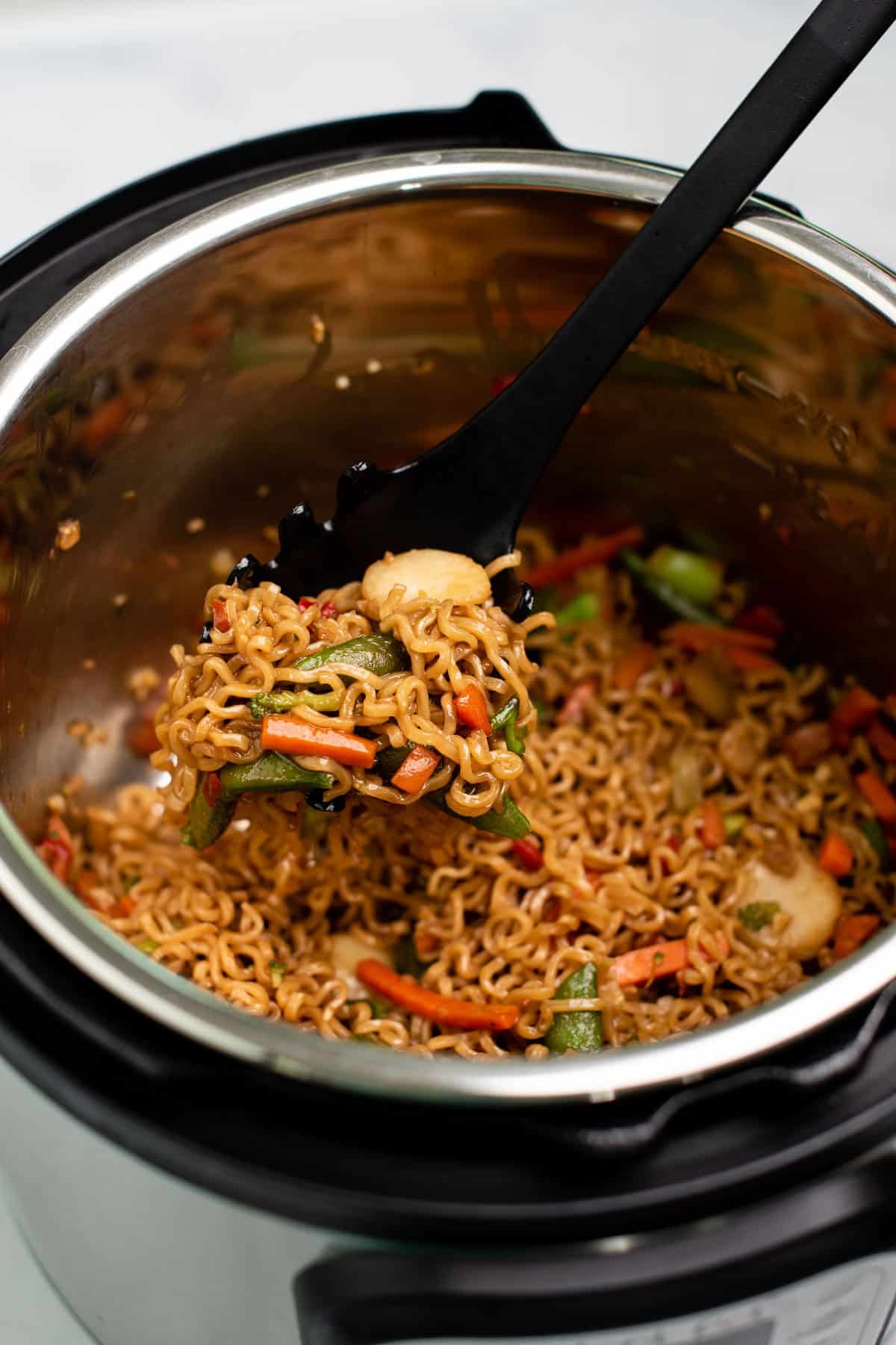Instant Pot Stir Fry