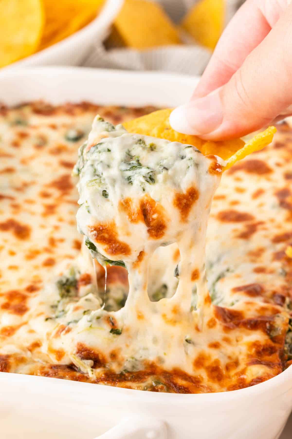 Creamy Spinach Dip