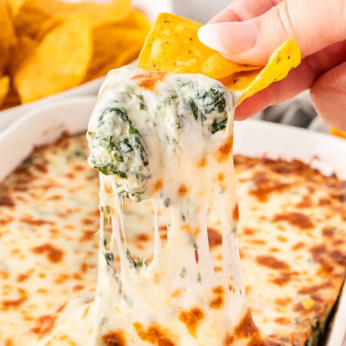 dipping a chip into spinach dip