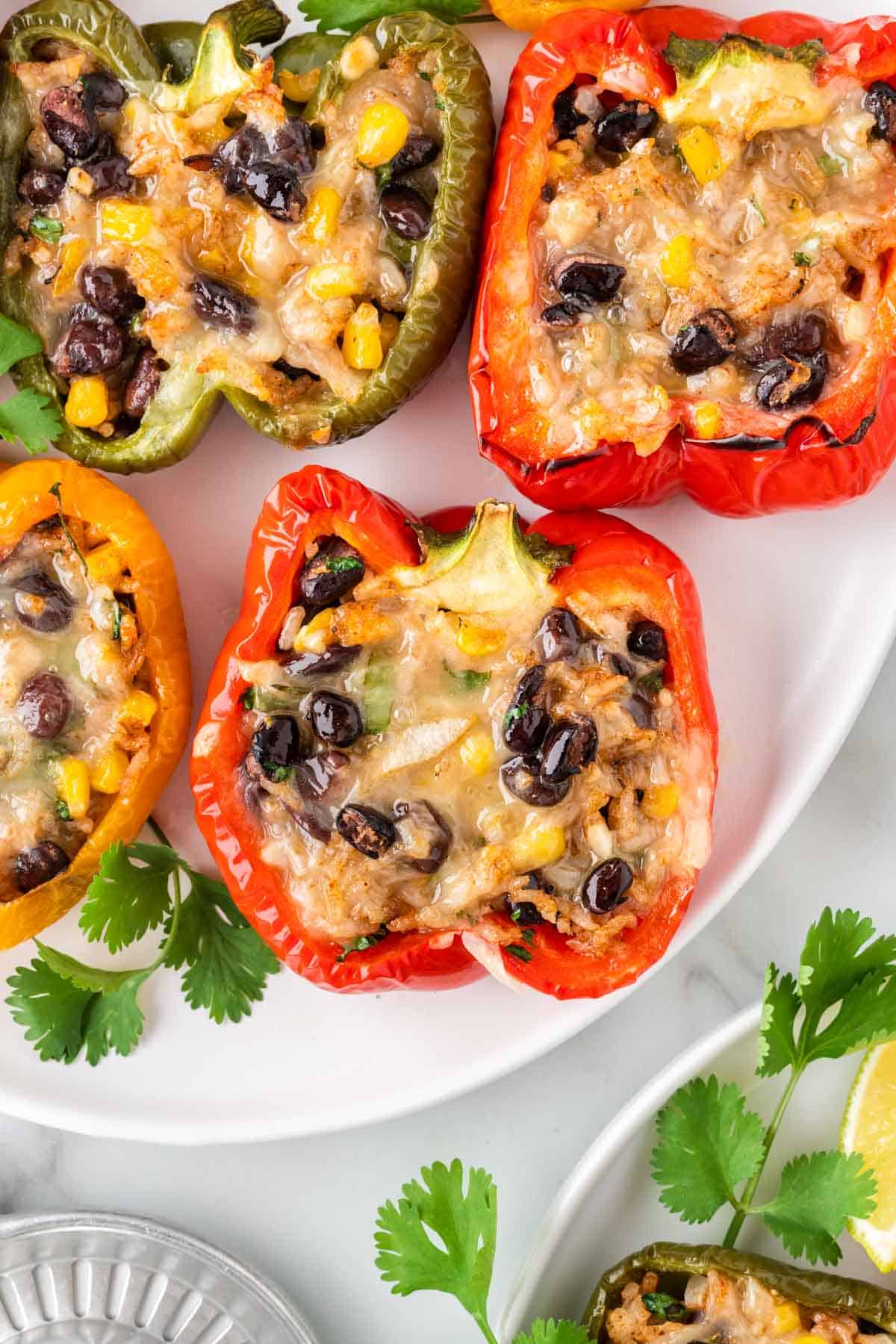 vegetarian stuffed peppers on a plate