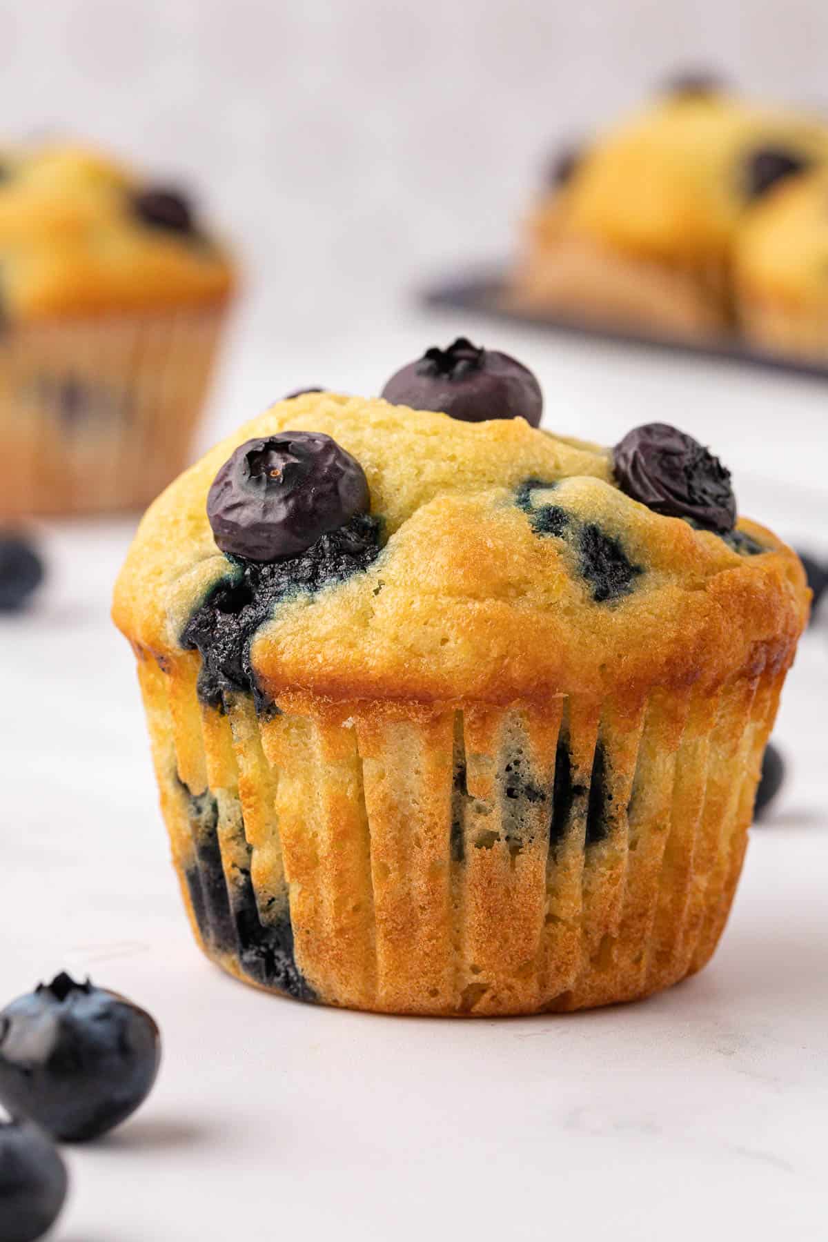 blueberry muffin