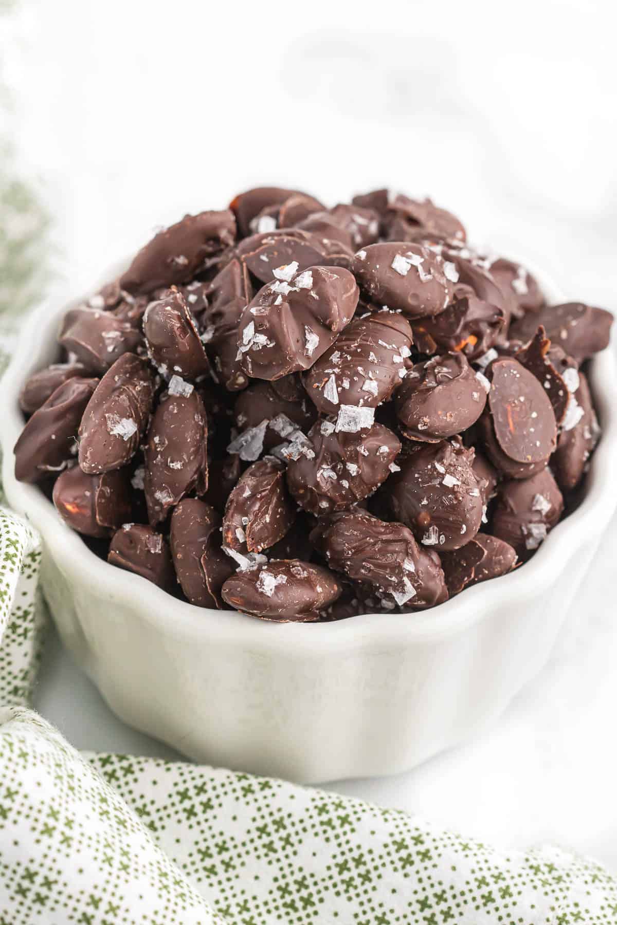 Chocolate Covered Almonds