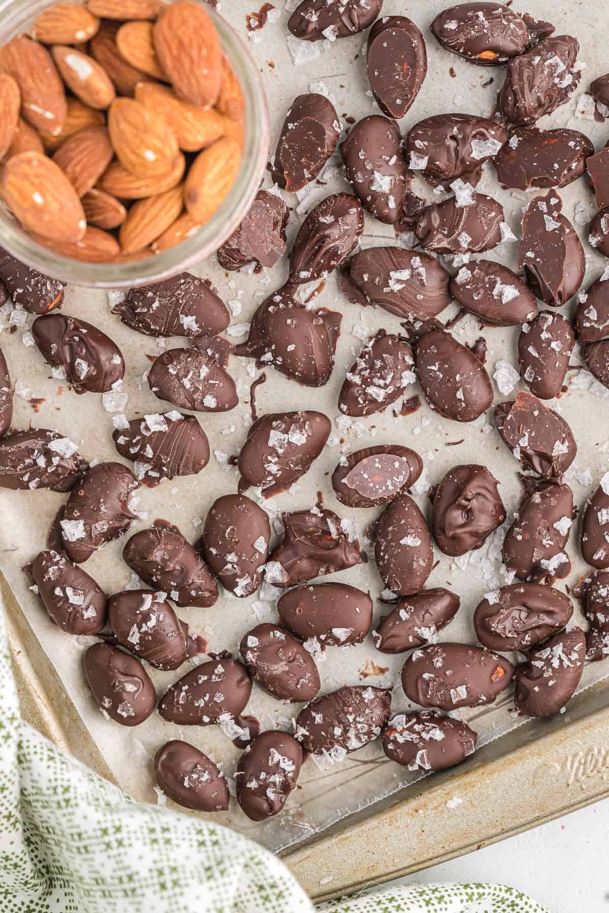 dark chocolate covered almonds