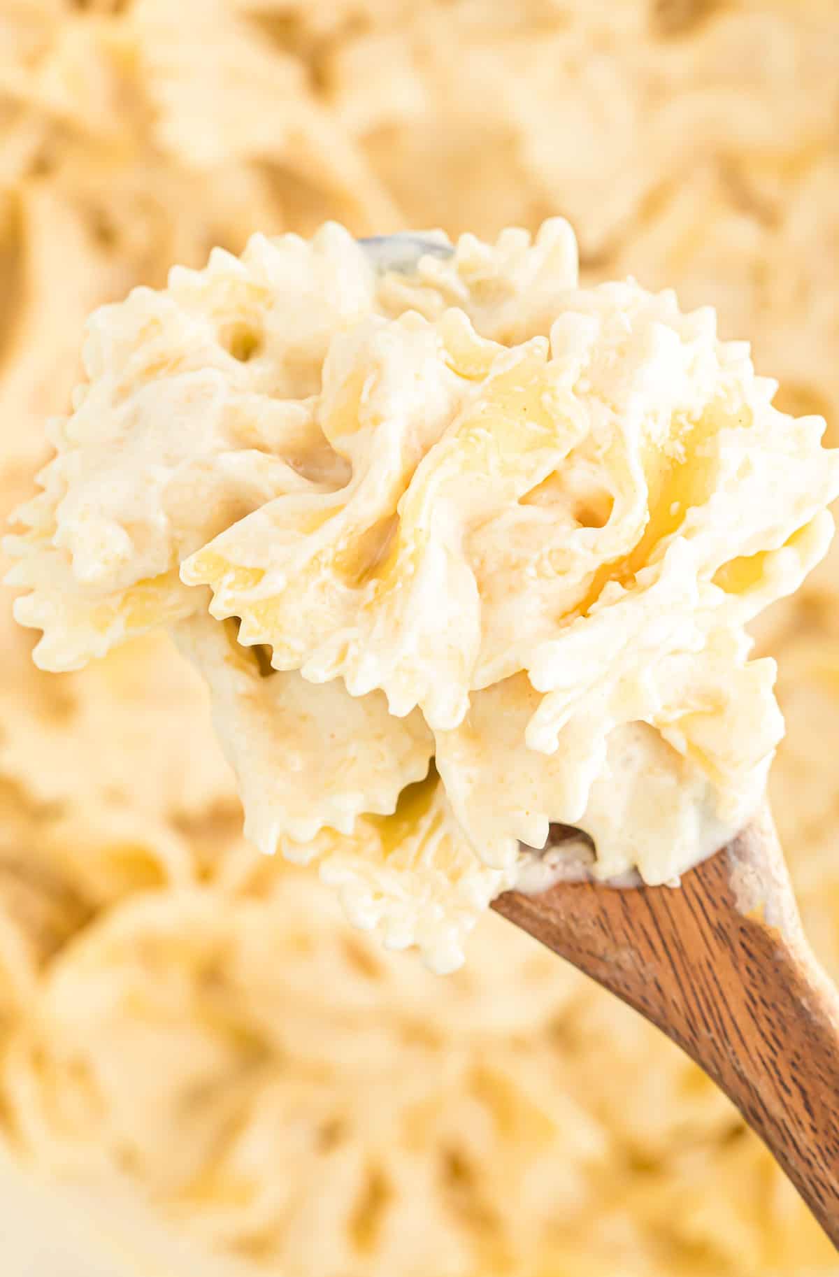 Parmesan Cream Sauce