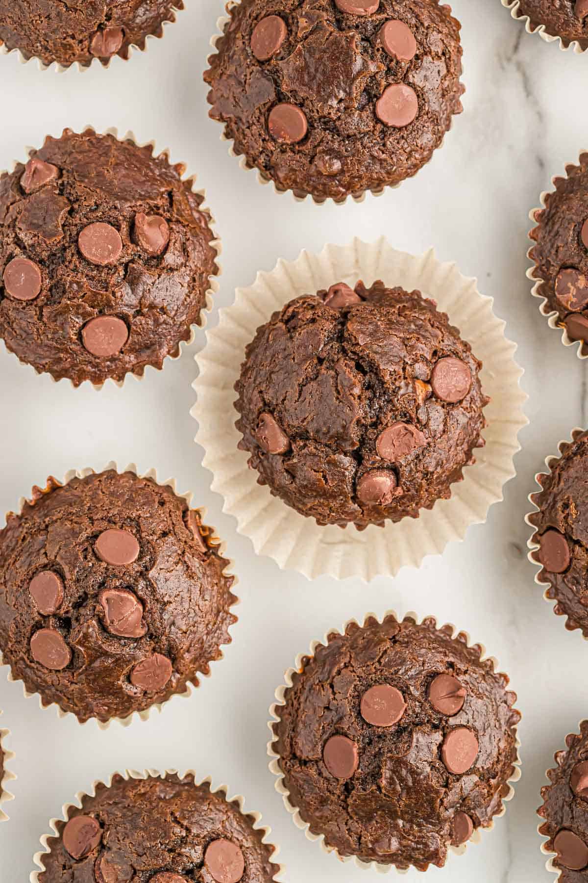 double chocolate muffins