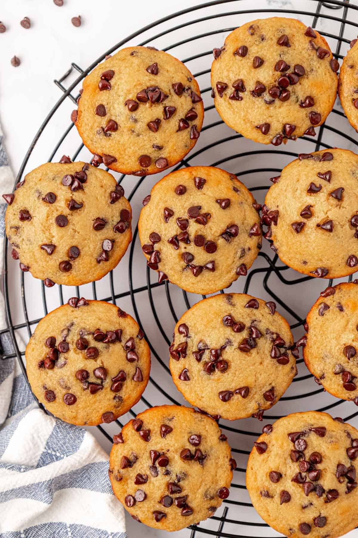 greek yogurt chocolate chip muffins