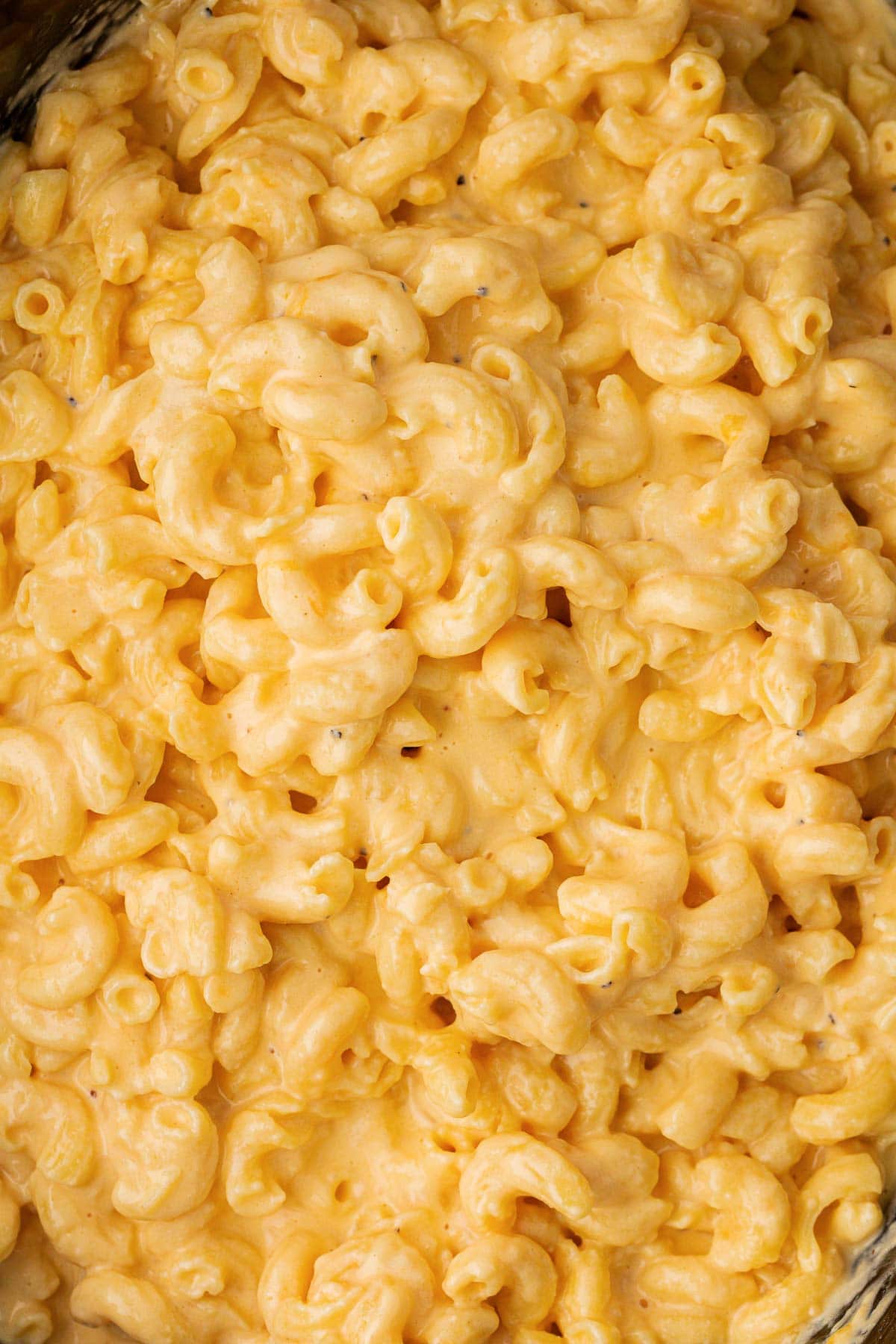 creamy mac and cheese