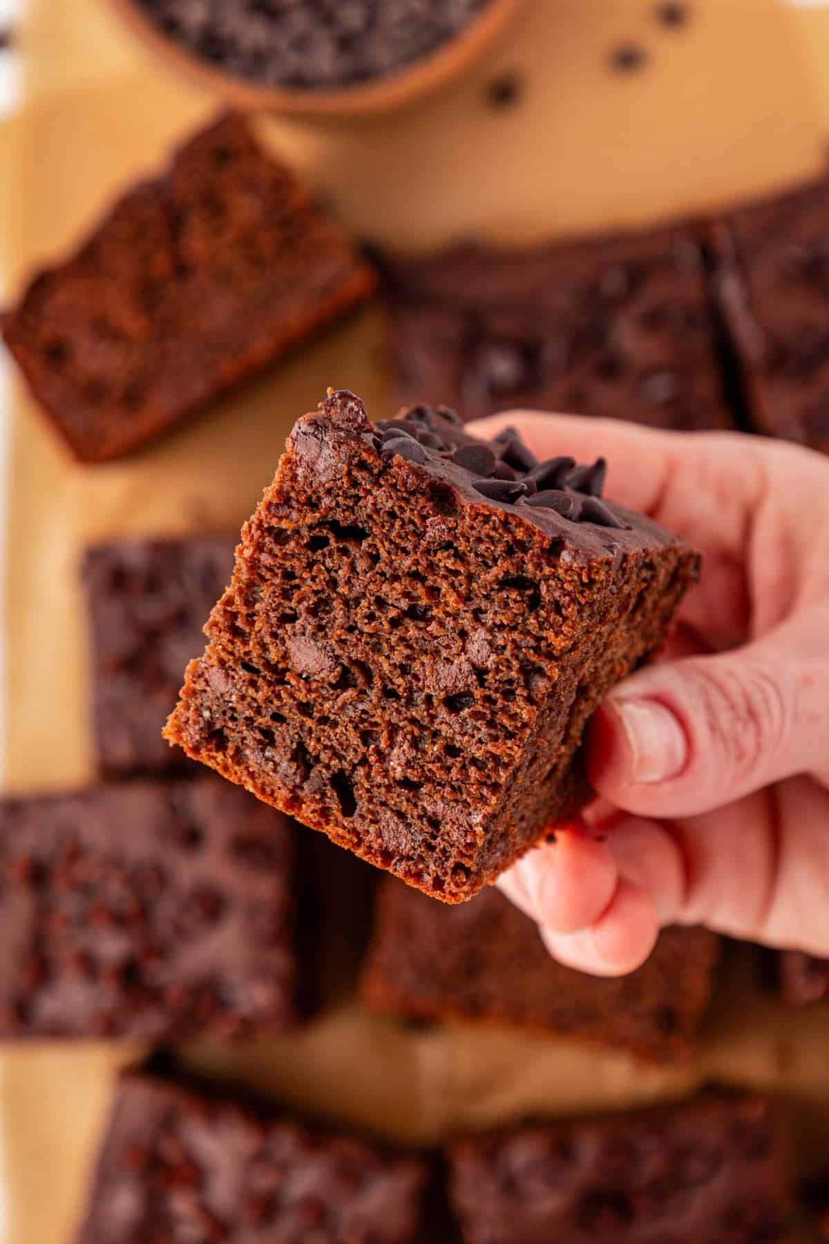 chocolate snack cake