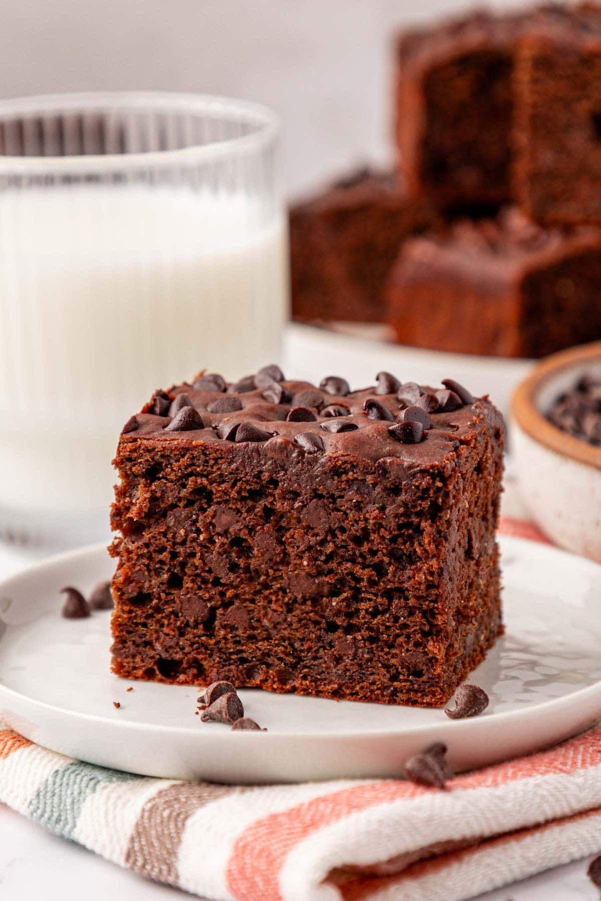 Chocolate Snack Cake