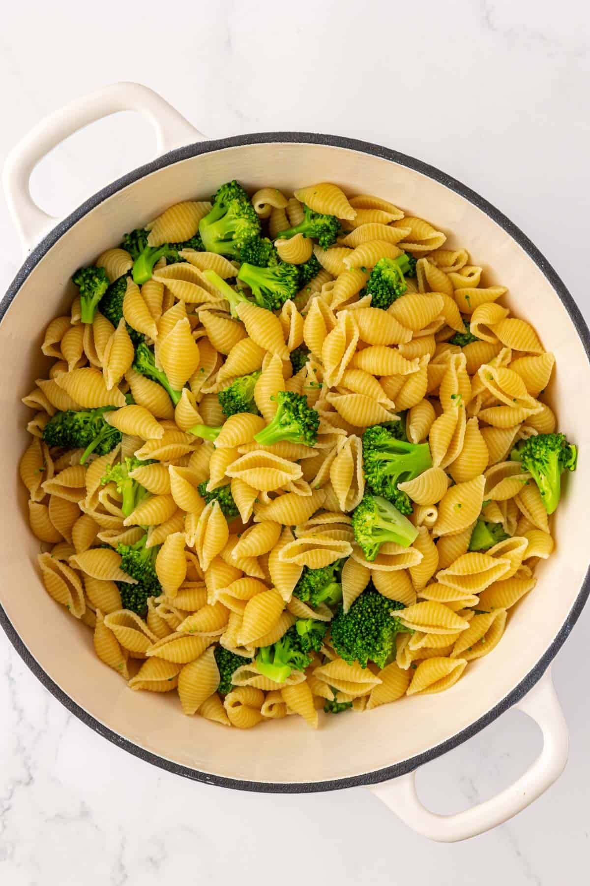 pasta shells and broccoli in a pan