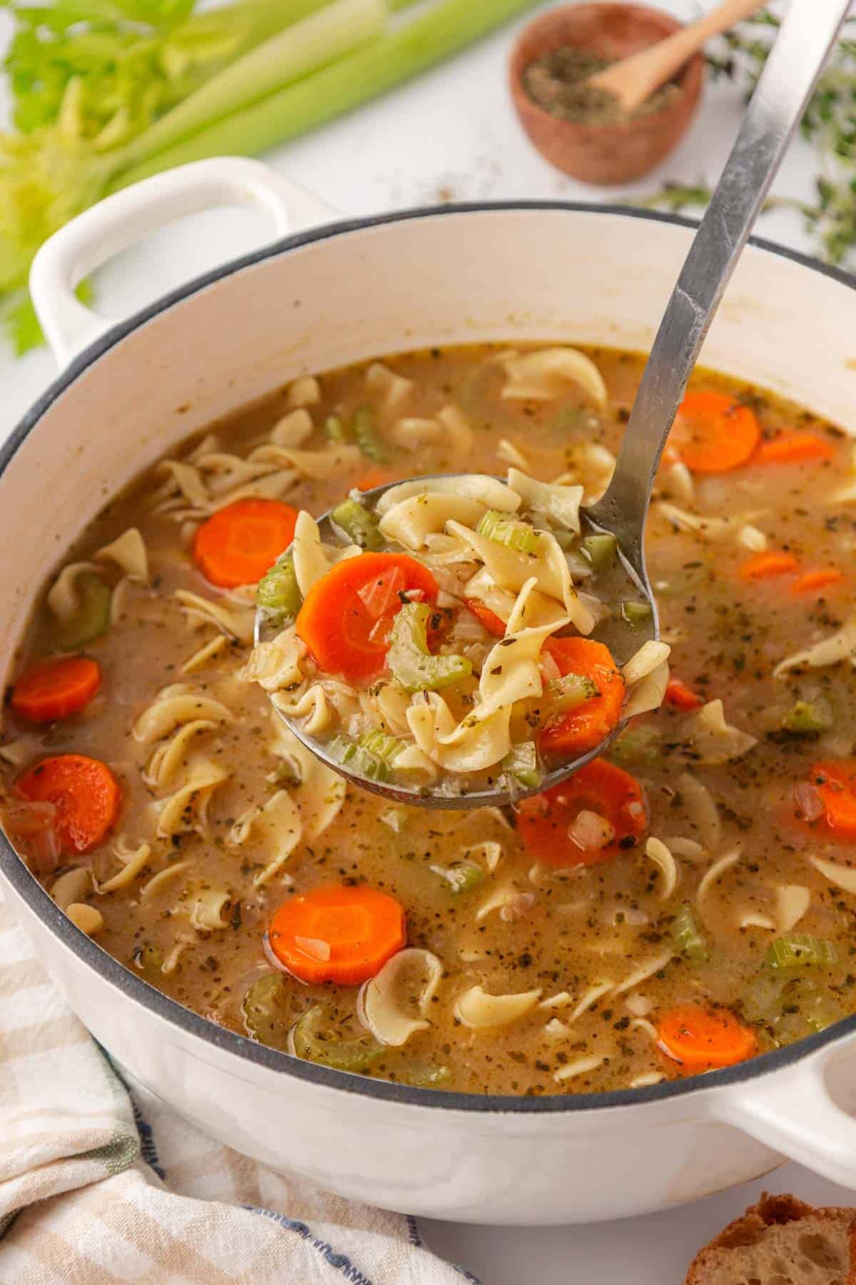 Vegetable Noodle Soup