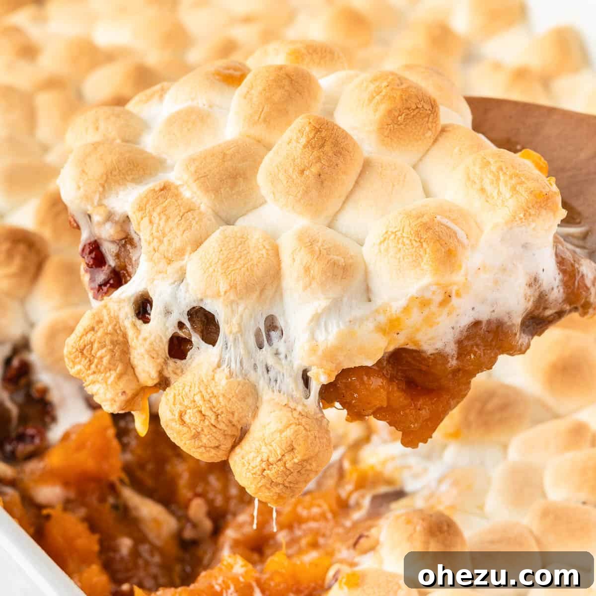 featured 11325