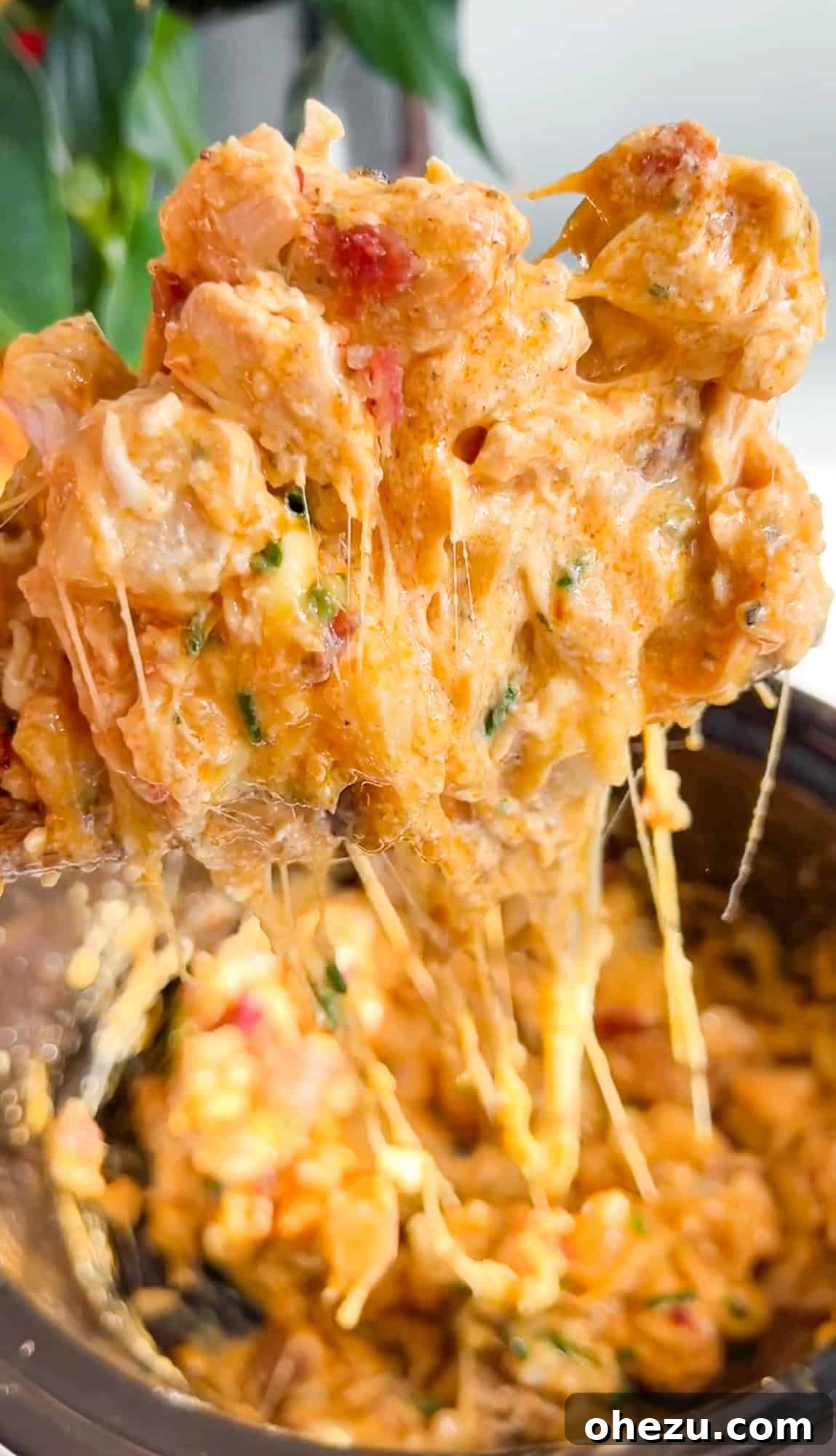 featured 6971