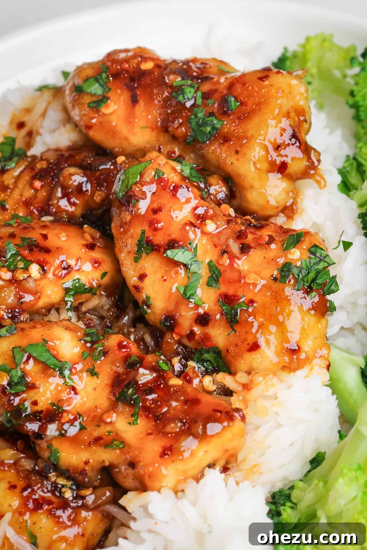 Golden Glazed Honey Garlic Chicken 2 honey garlic chicken