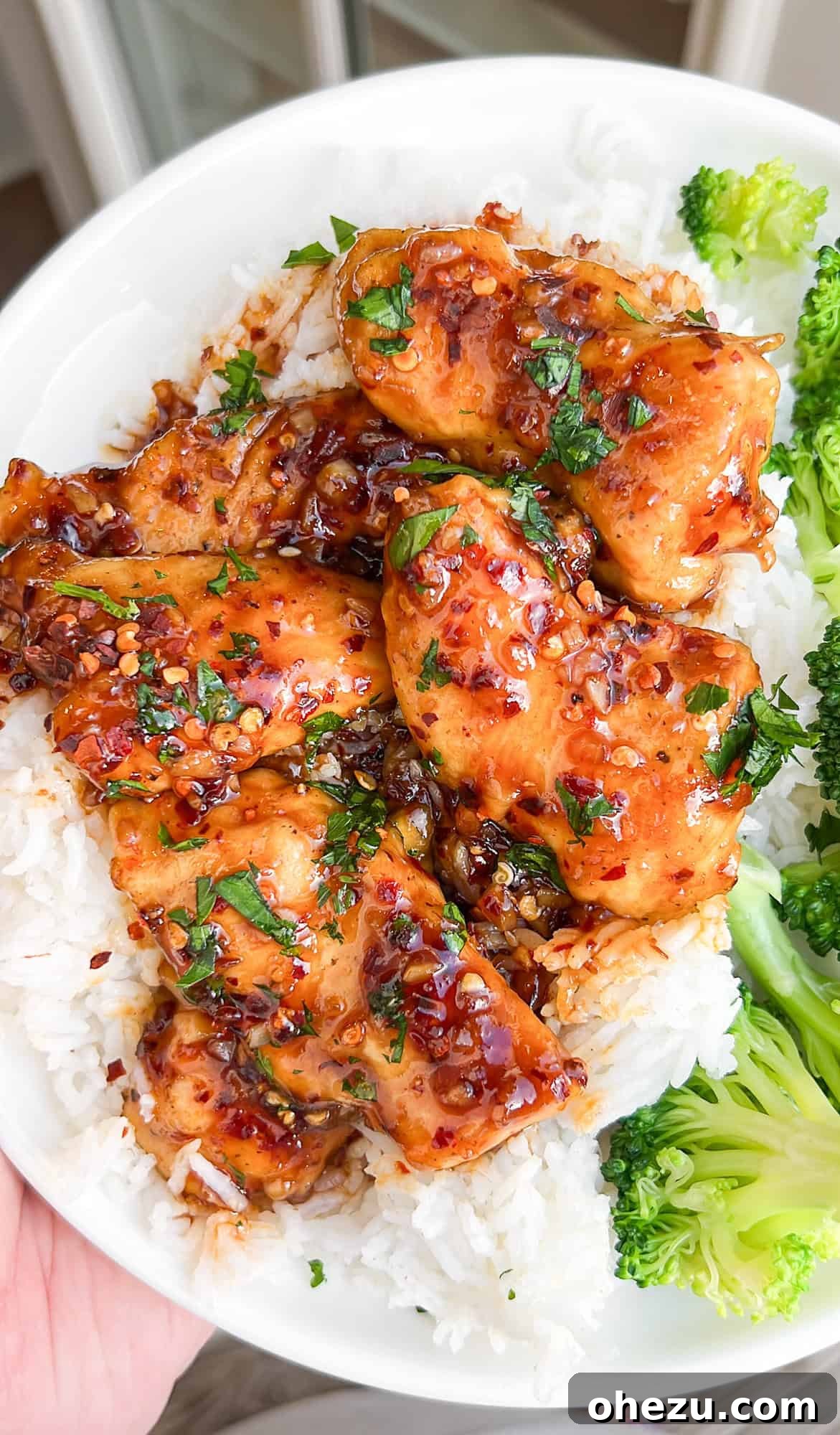 Golden Glazed Honey Garlic Chicken 11 honey garlic chicken close up