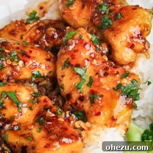 honey garlic chicken