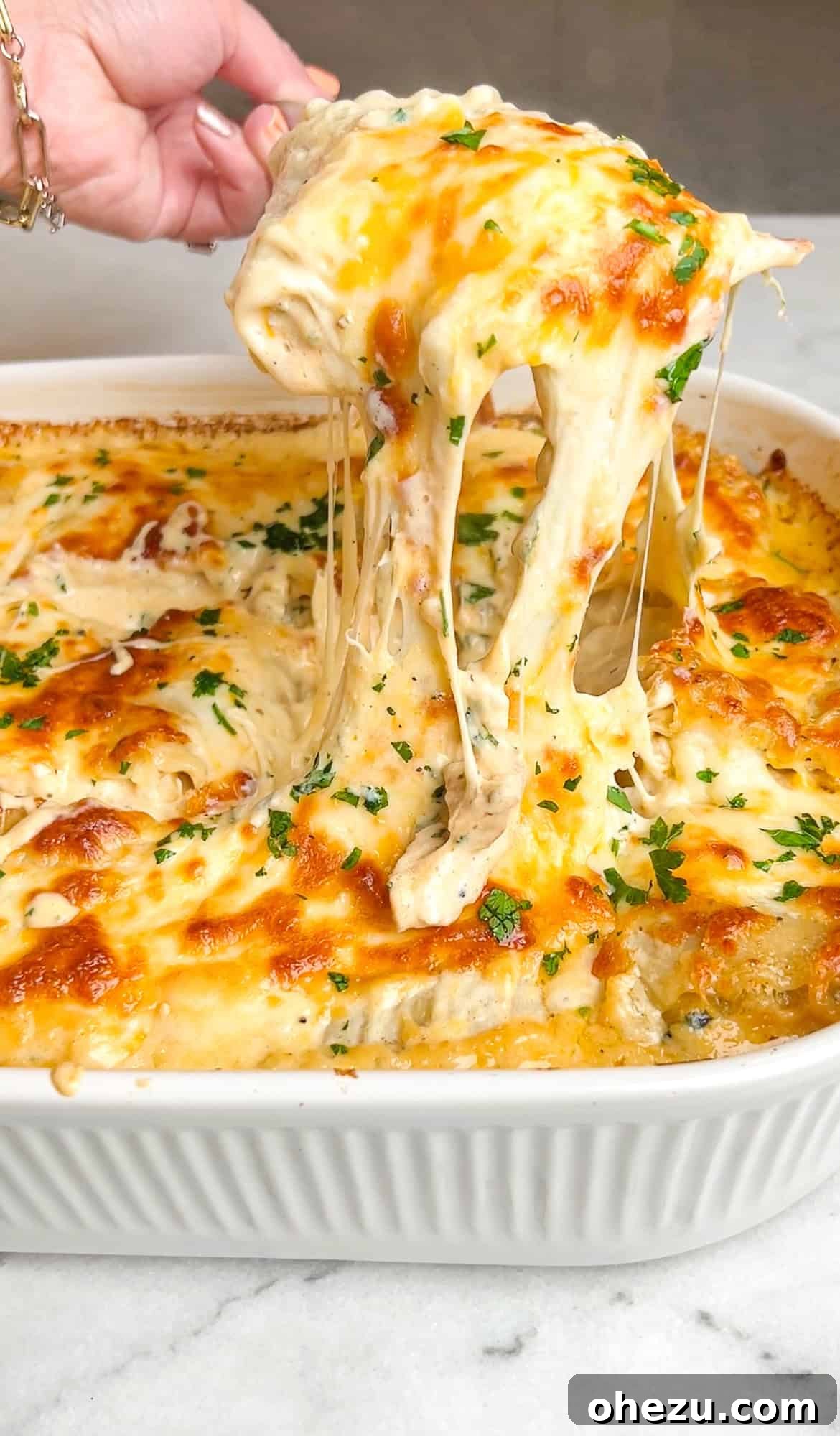Creamy Blackened Chicken Lasagna Pinwheels 2 Delicious Chicken Alfredo Lasagna Roll Ups