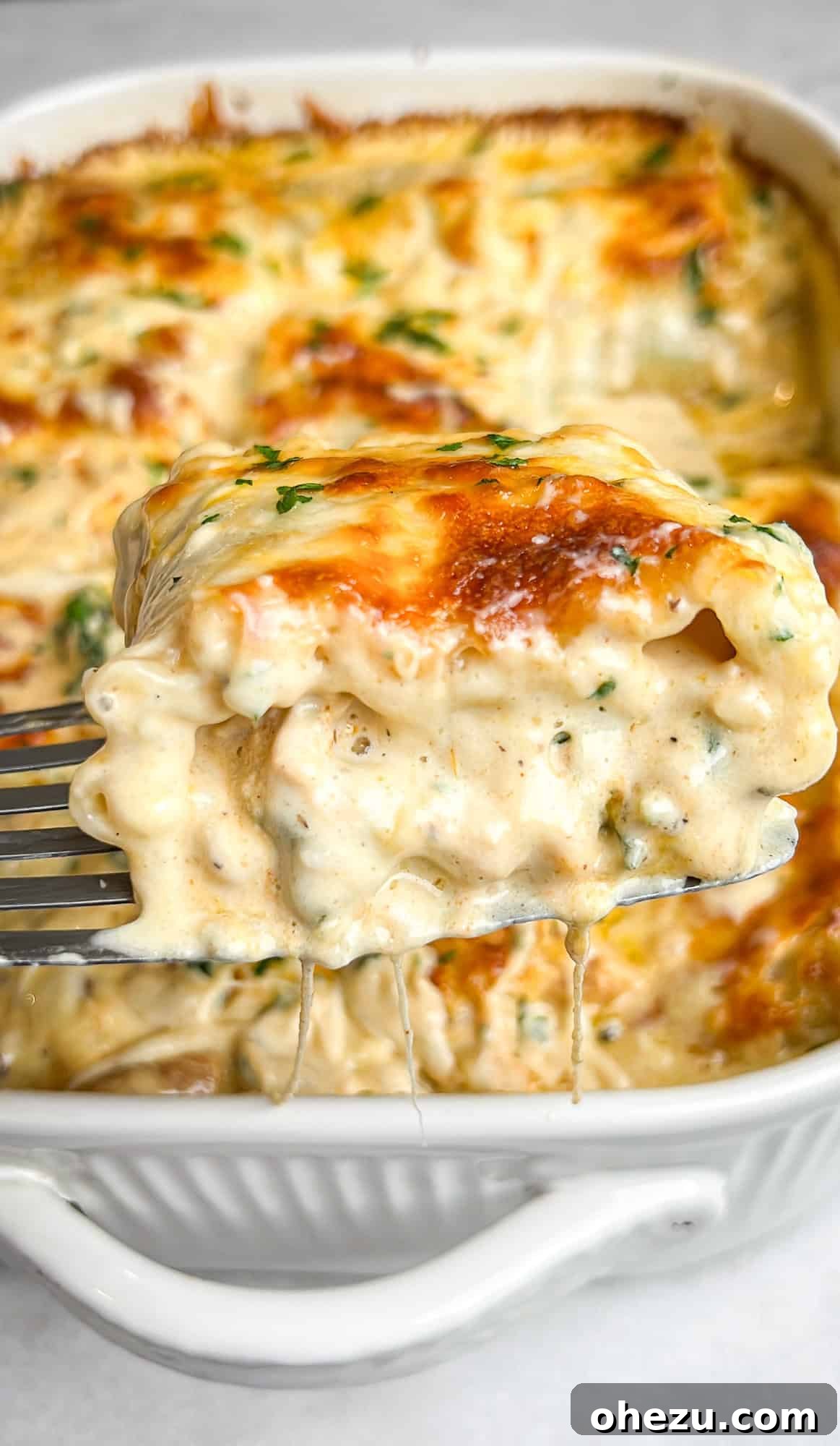 Creamy Blackened Chicken Lasagna Pinwheels 3 Chicken Alfredo Lasagna Roll Ups baking