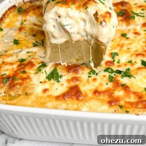 Creamy Blackened Chicken Lasagna Pinwheels 14 Blackened Chicken Alfredo Lasagna Roll Ups