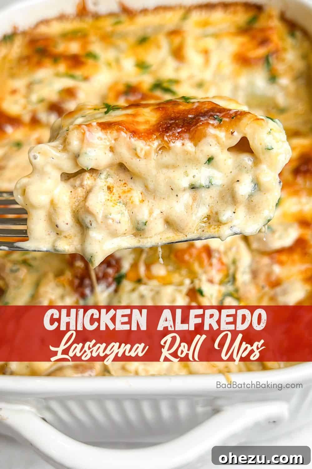 Creamy Blackened Chicken Lasagna Pinwheels 15 Chicken Alfredo Lasagna Roll Ups with a side salad