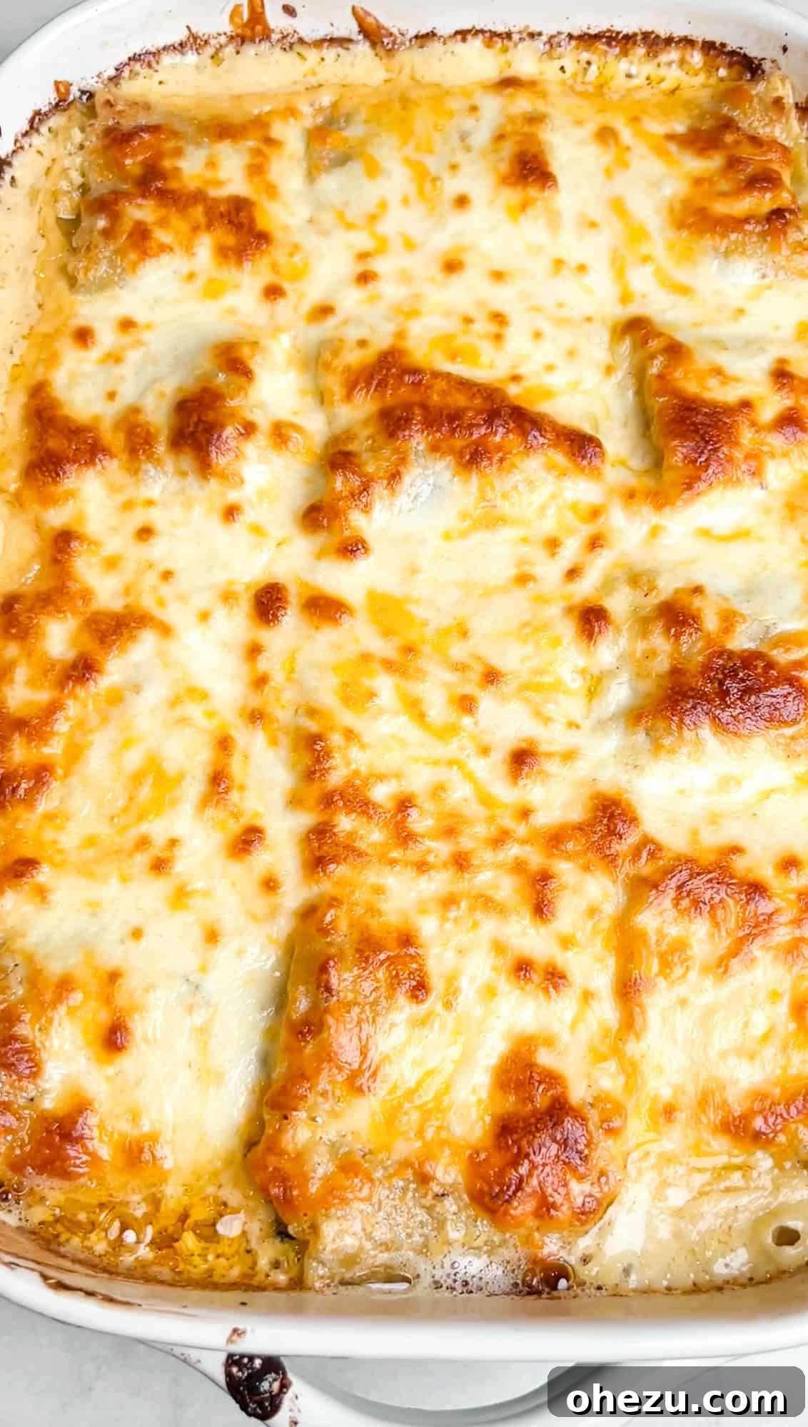 Creamy Blackened Chicken Lasagna Pinwheels 4 Key ingredients for Chicken Alfredo Lasagna