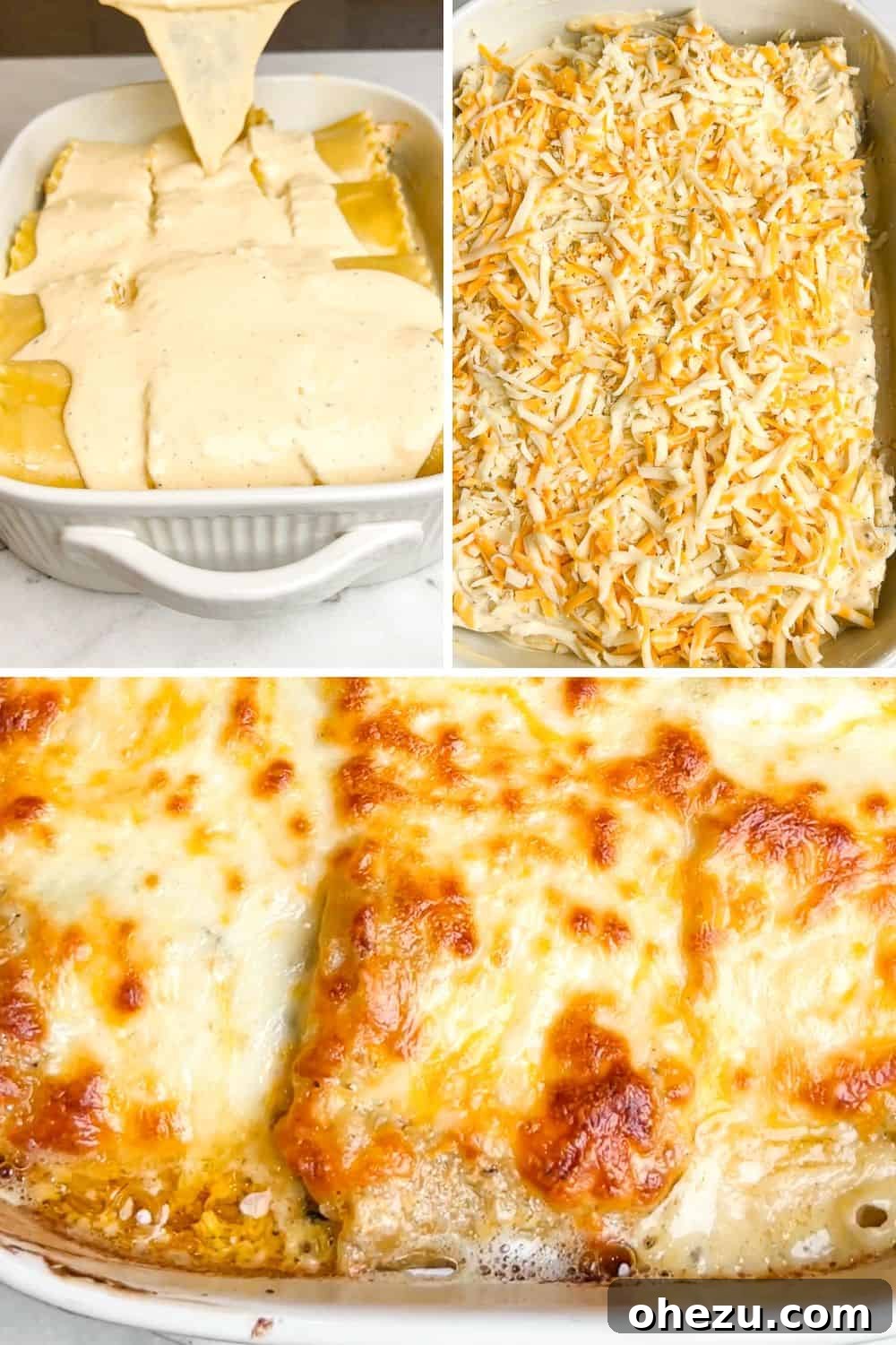 Creamy Blackened Chicken Lasagna Pinwheels 10 Baked Chicken Alfredo Lasagna Roll Ups