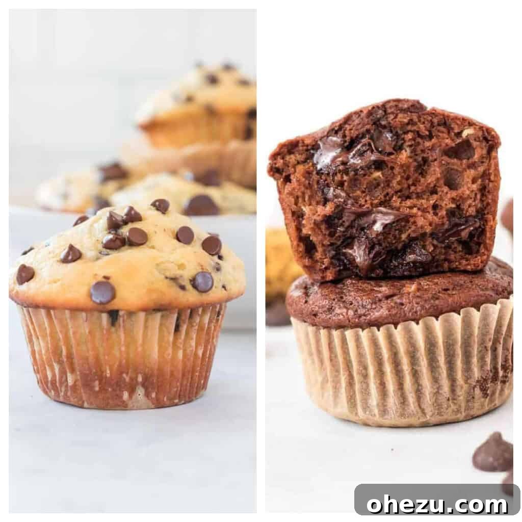 Plant-Powered Perfection 19 A tempting collage featuring light and fluffy Greek yogurt muffins and rich, healthy chocolate muffins, perfect for a wholesome vegetarian breakfast or snack.
