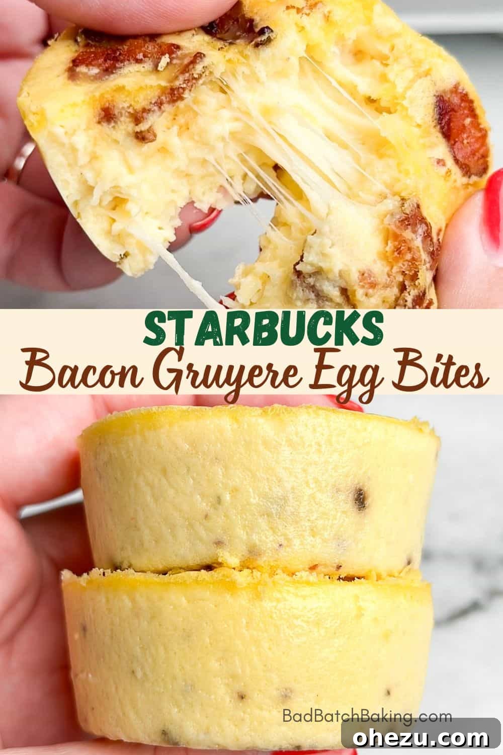 Starbucks Signature Bacon & Egg Bites 15 starbucks bacon egg bites