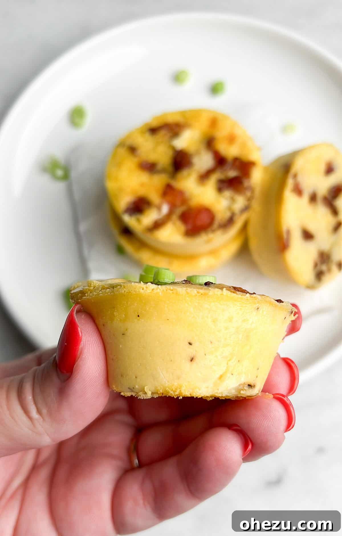 Starbucks Signature Bacon & Egg Bites 9 starbucks bacon egg bites