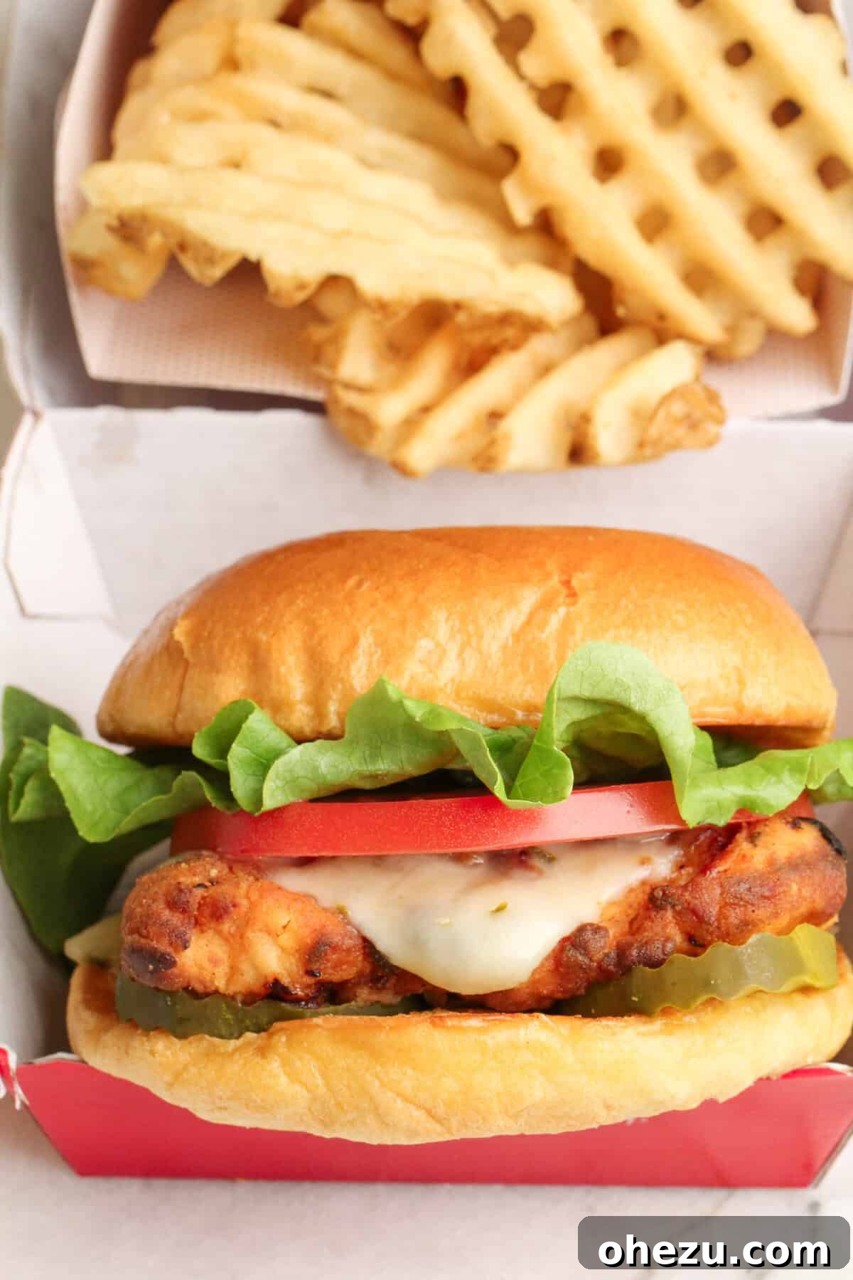Air Fryer Spicy Chick-fil-A Copycat Sandwich 4 overhead shot of spicy chick fil a sandwich recipe ingredients