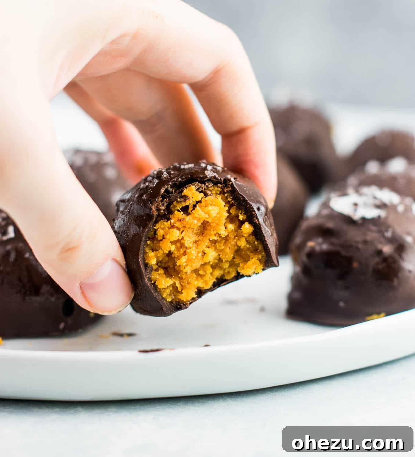 Dark chocolate pumpkin truffles recipe (vegan, gluten free) These taste AMAZING! Made with coconut flour and dark chocolate chunks. This needs to be your next pumpkin dessert! #pumpkintruffles #pumpkin #nobake #vegan #glutenfree #dessert