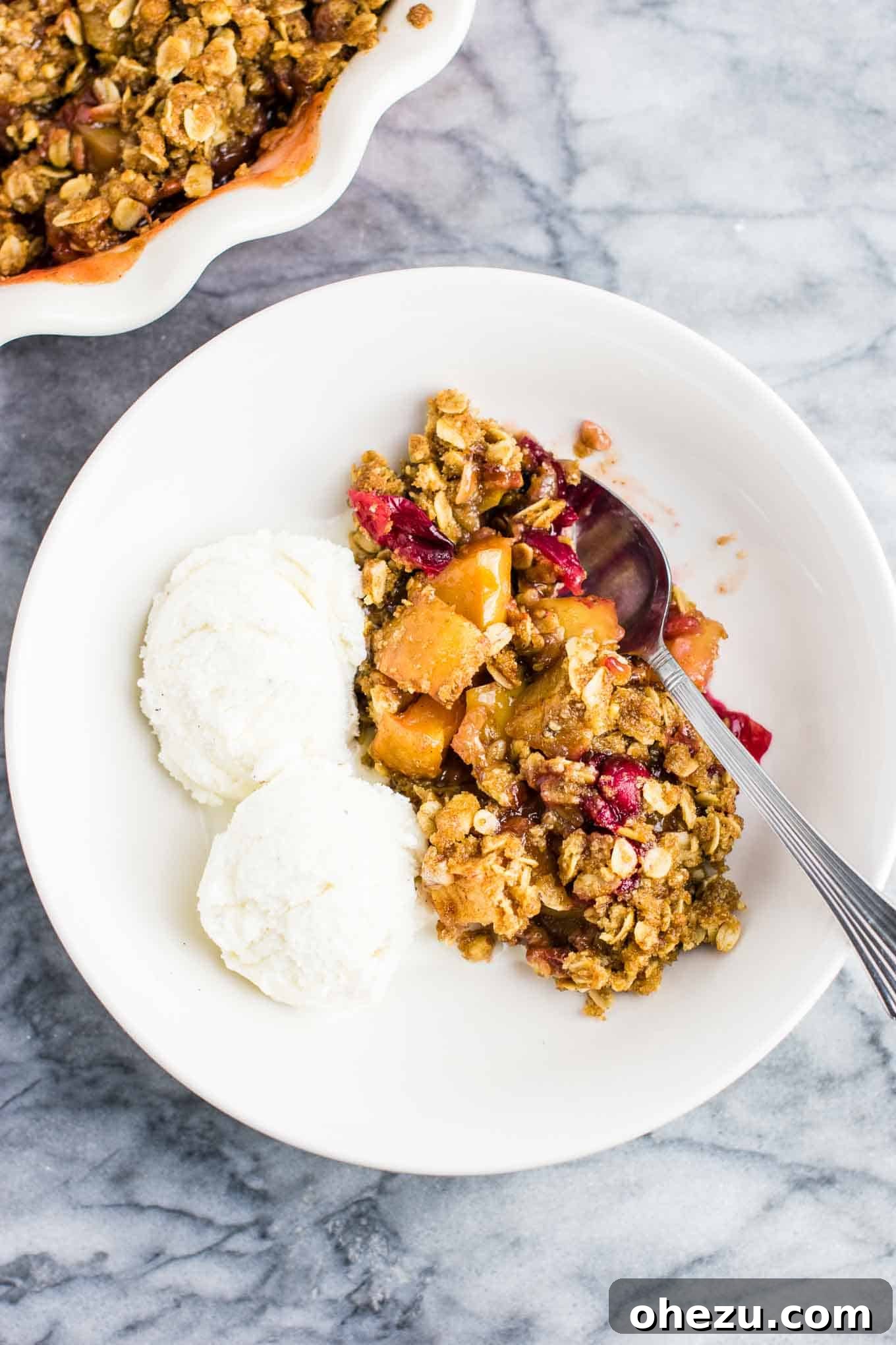 Sweet-Tart Cranberry Apple Crumble 7 A large bowl of Cranberry Apple Crisp with melting vanilla ice cream, ready for serving.