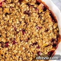 A delicious bowl of Cranberry Apple Crisp, ready to serve.