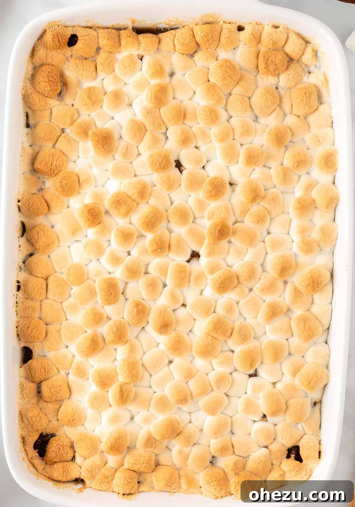 36 Scrumptious Vegetarian Thanksgiving Dishes 2 Delicious baked sweet potato casserole with golden marshmallows, a perfect vegetarian Thanksgiving side dish.