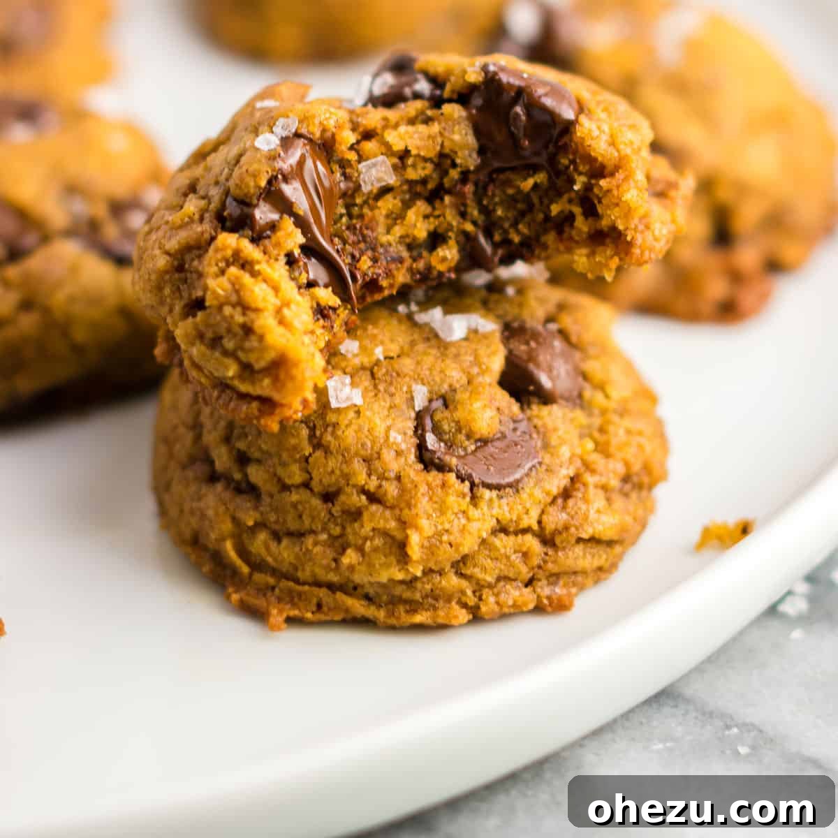 A vegan pumpkin chocolate chip cookie with a bite taken out, showing its soft interior