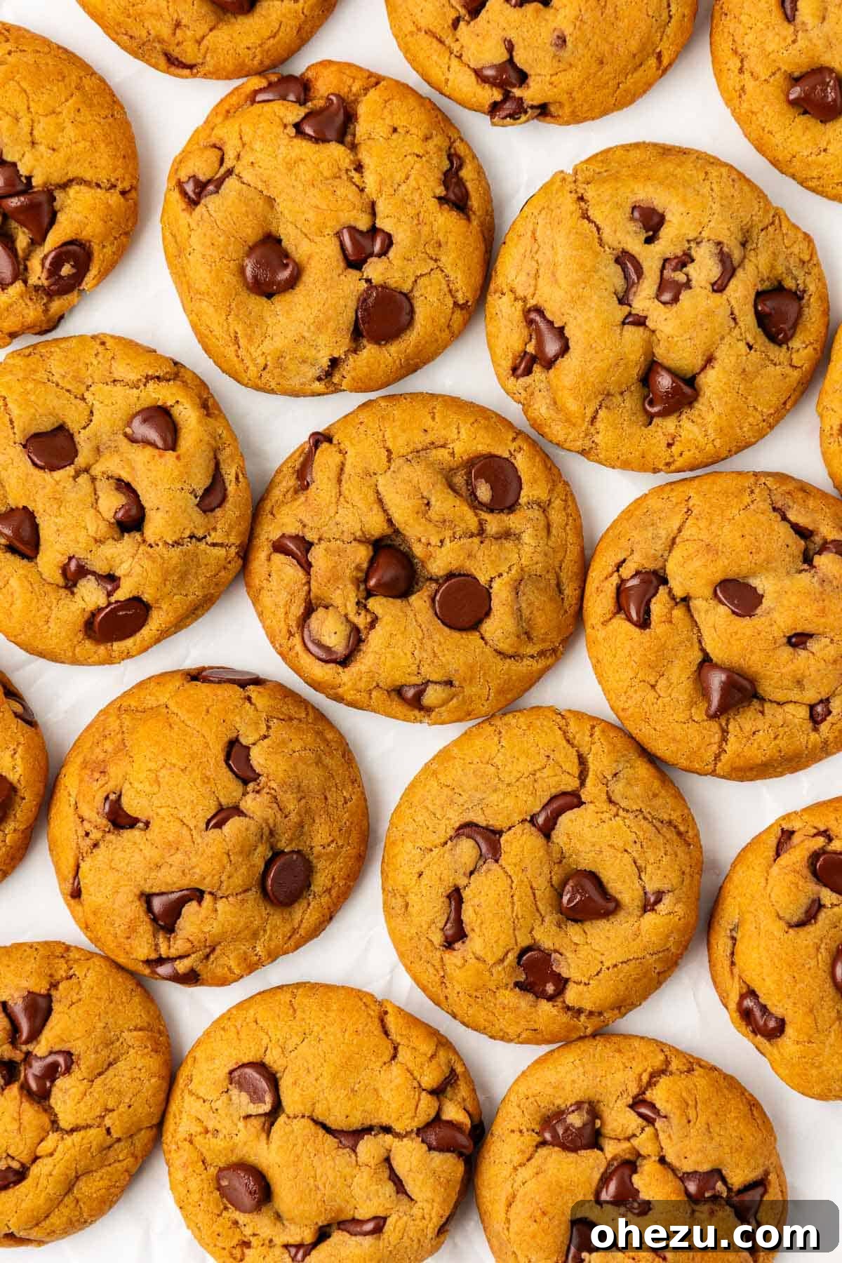 Stack of vegan pumpkin chocolate chip cookies