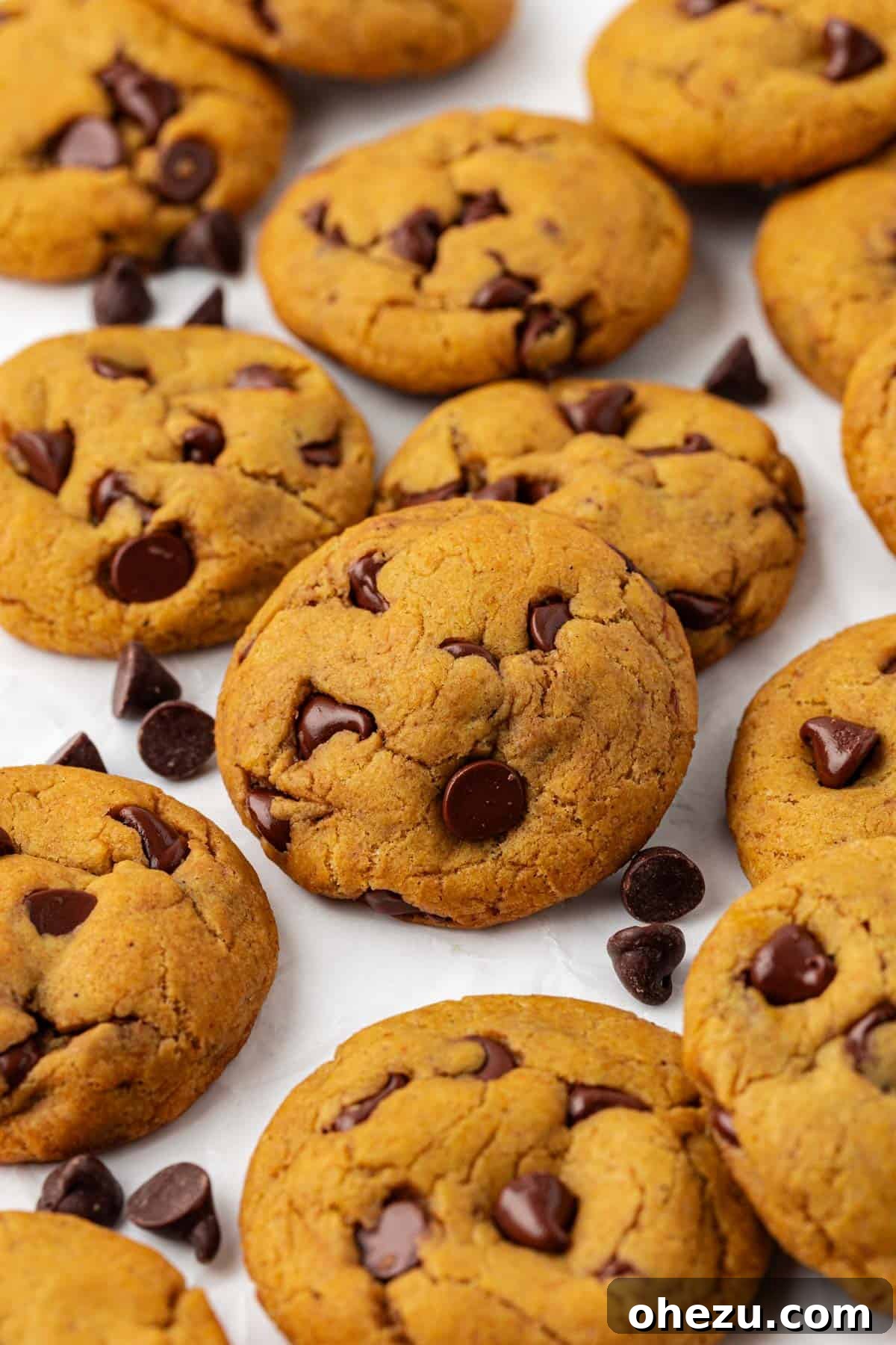Platter of vegan pumpkin chocolate chip cookies, ready to be served