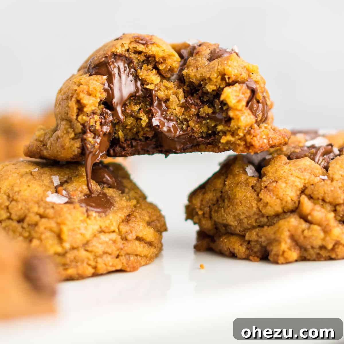 A single vegan pumpkin chocolate chip cookie with a bite taken out, showcasing melted chocolate