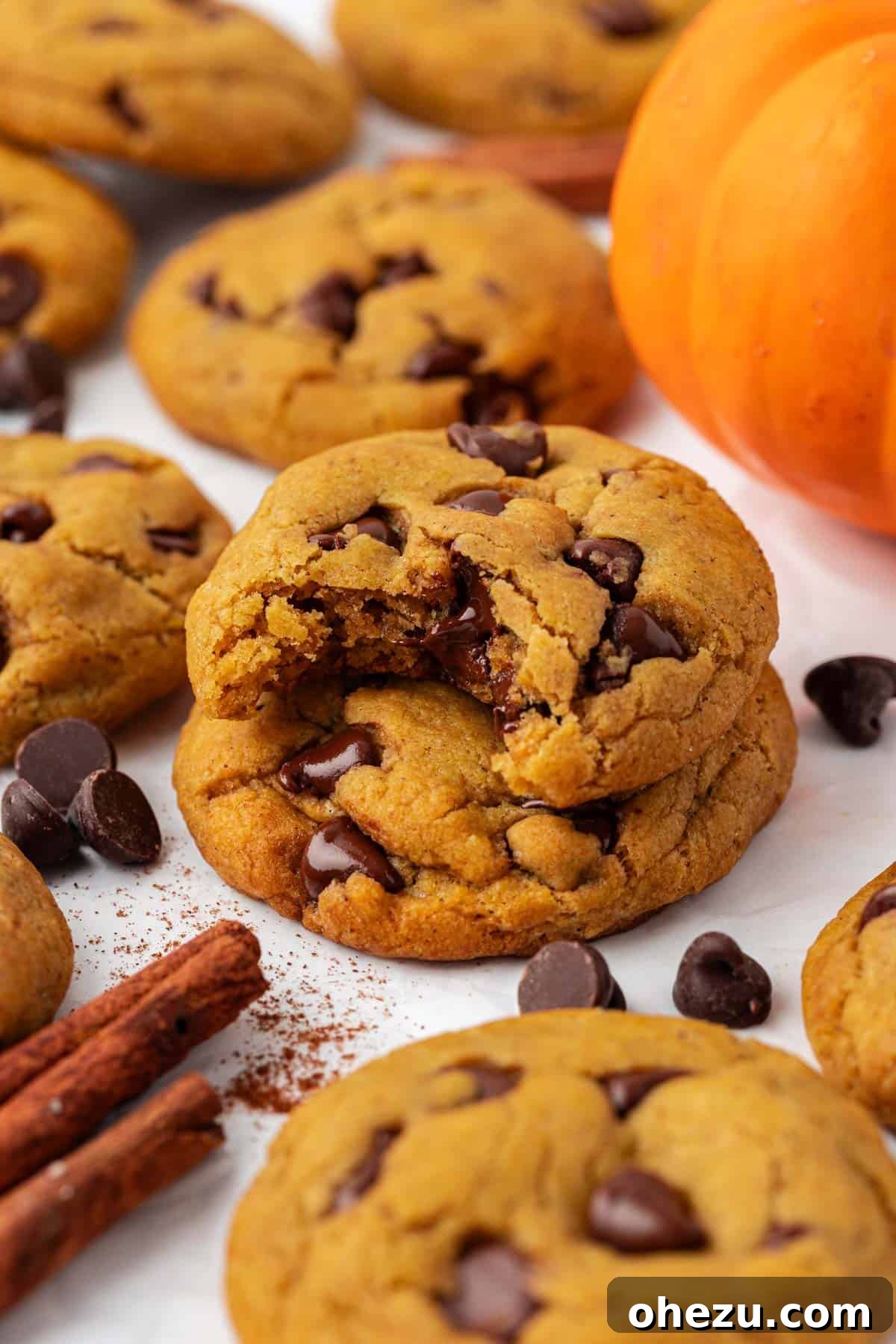 Close-up of freshly baked vegan pumpkin chocolate chip cookies