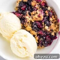 A warm bowl of cranberry blueberry crisp, topped with a scoop of melting vanilla ice cream. This vibrant dessert is naturally vegan and gluten-free.