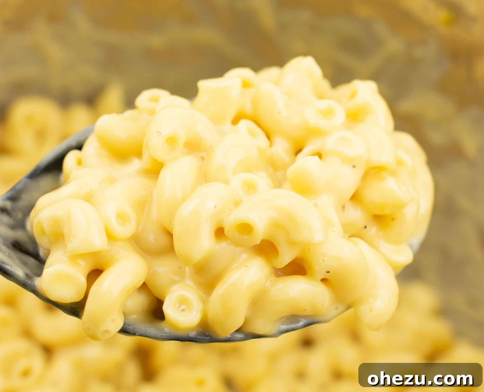 vegetarian thanksgiving menu - Instant pot mac and cheese recipe – make homemade insanely creamy mac and cheese in just 10 minutes! I’m never making mac and cheese another way again! #instantpot #instantpotrecipes #instantpotmacandcheese #macandcheese #dinner #easyrecipe